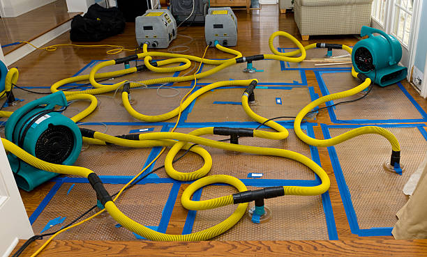 Professional Sewage Cleanup technician working in Mount Airy, NC